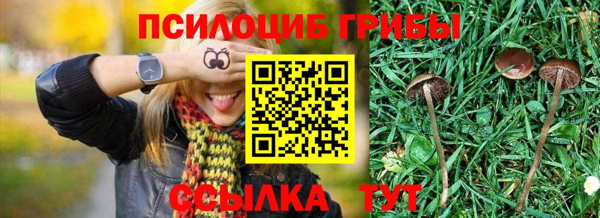 Галлюциногенные грибы ЛСД  Вход с VPN  Галлюциногенные грибы мицелий  наркотики  Славгород 