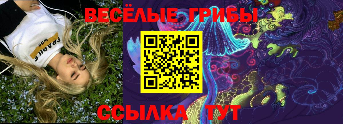 Псилоцибиновые грибы GOLDEN TEACHER Славгород
